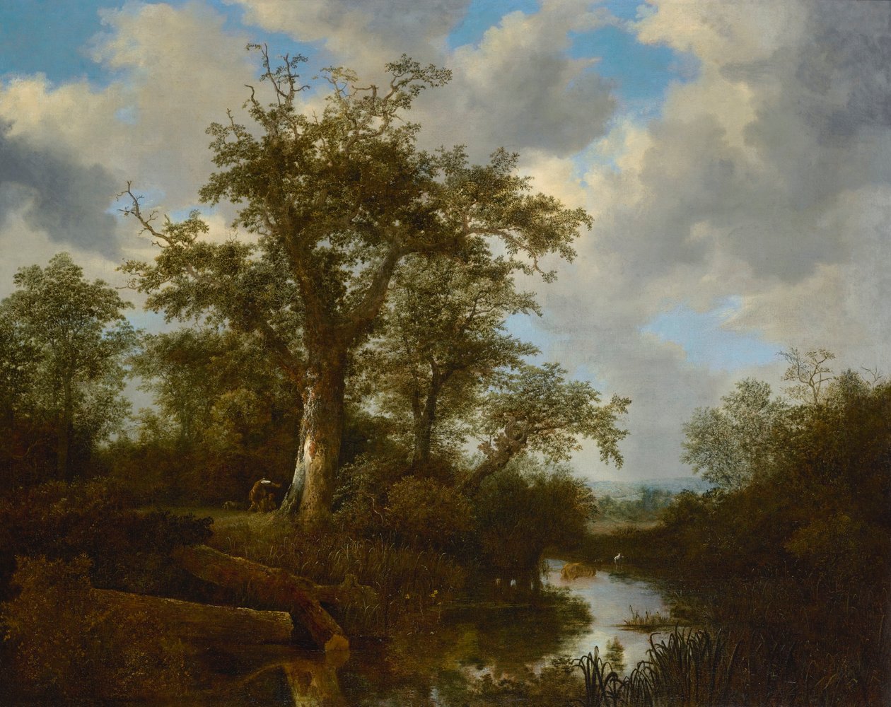 Bewaldete Landschaft mit Vieh, das einen Bach überquert von Jacob van Ruisdael