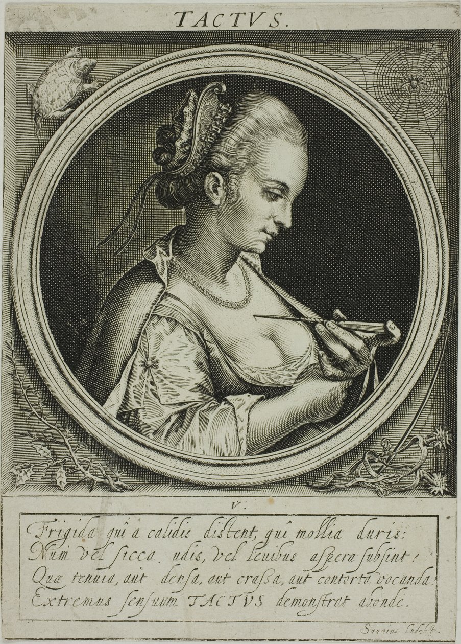 Gefühl, Platte fünf aus Die fünf Sinne von Jacob van der Heyden