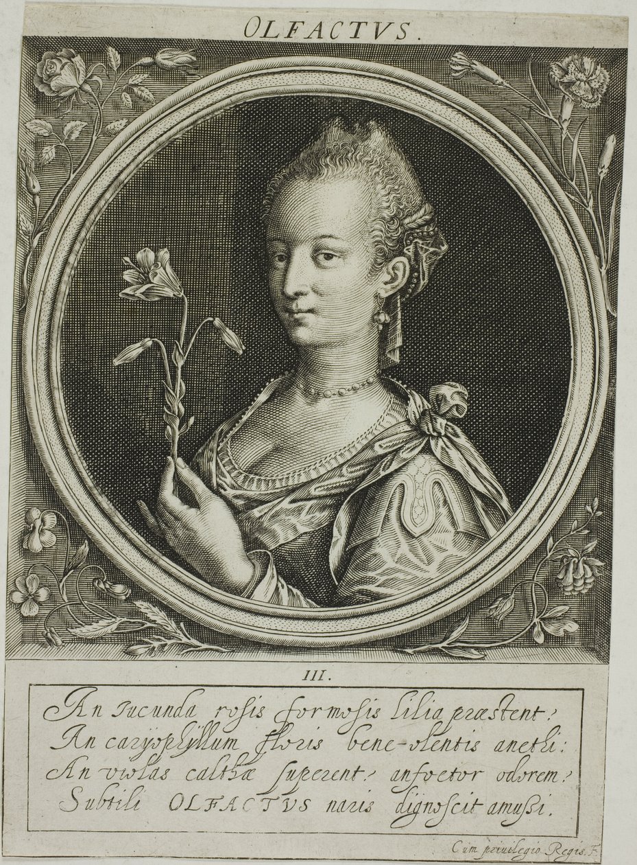 Geruch, Platte drei aus Die fünf Sinne von Jacob van der Heyden