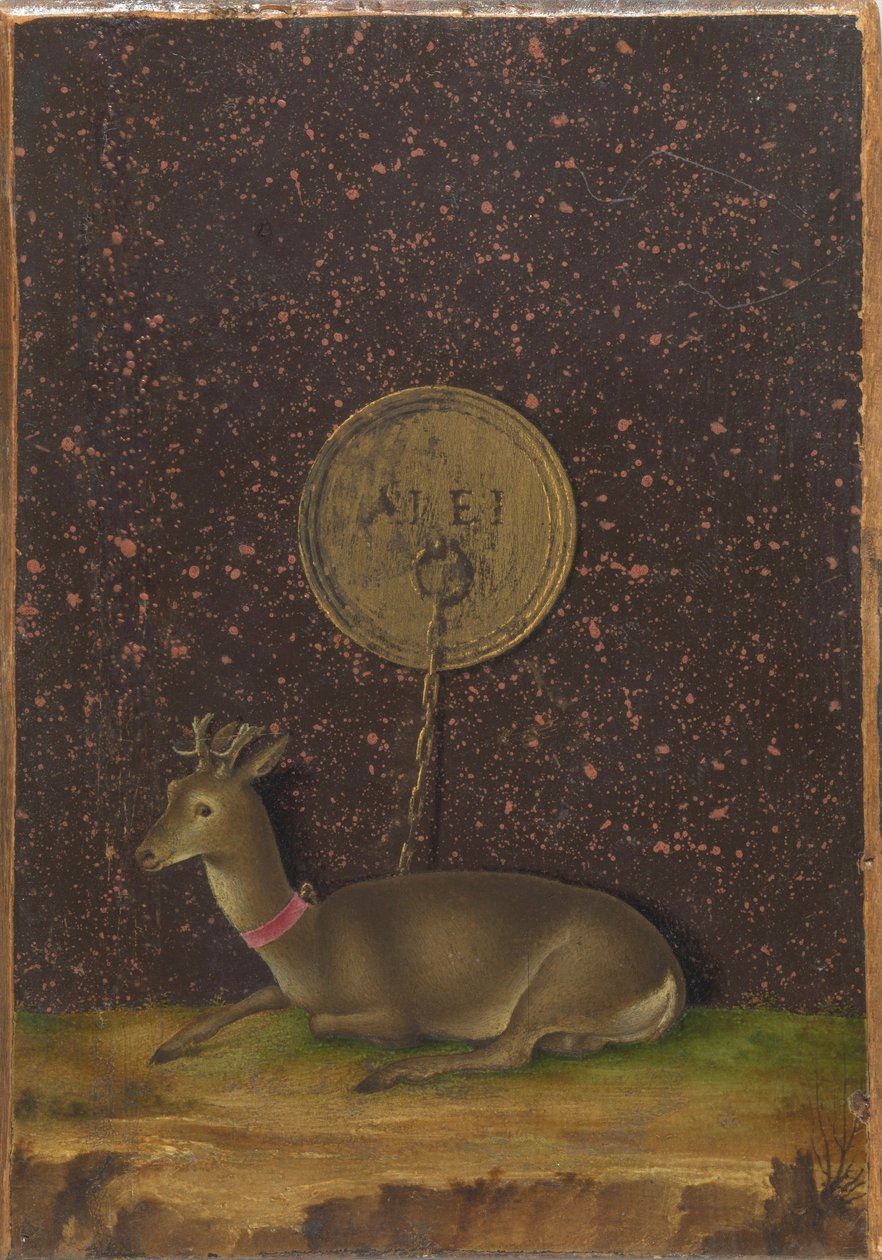 Porträt von Alvise Contarini(?); (verso) Ein angebundener Rehbock von Jacometto Veneziano