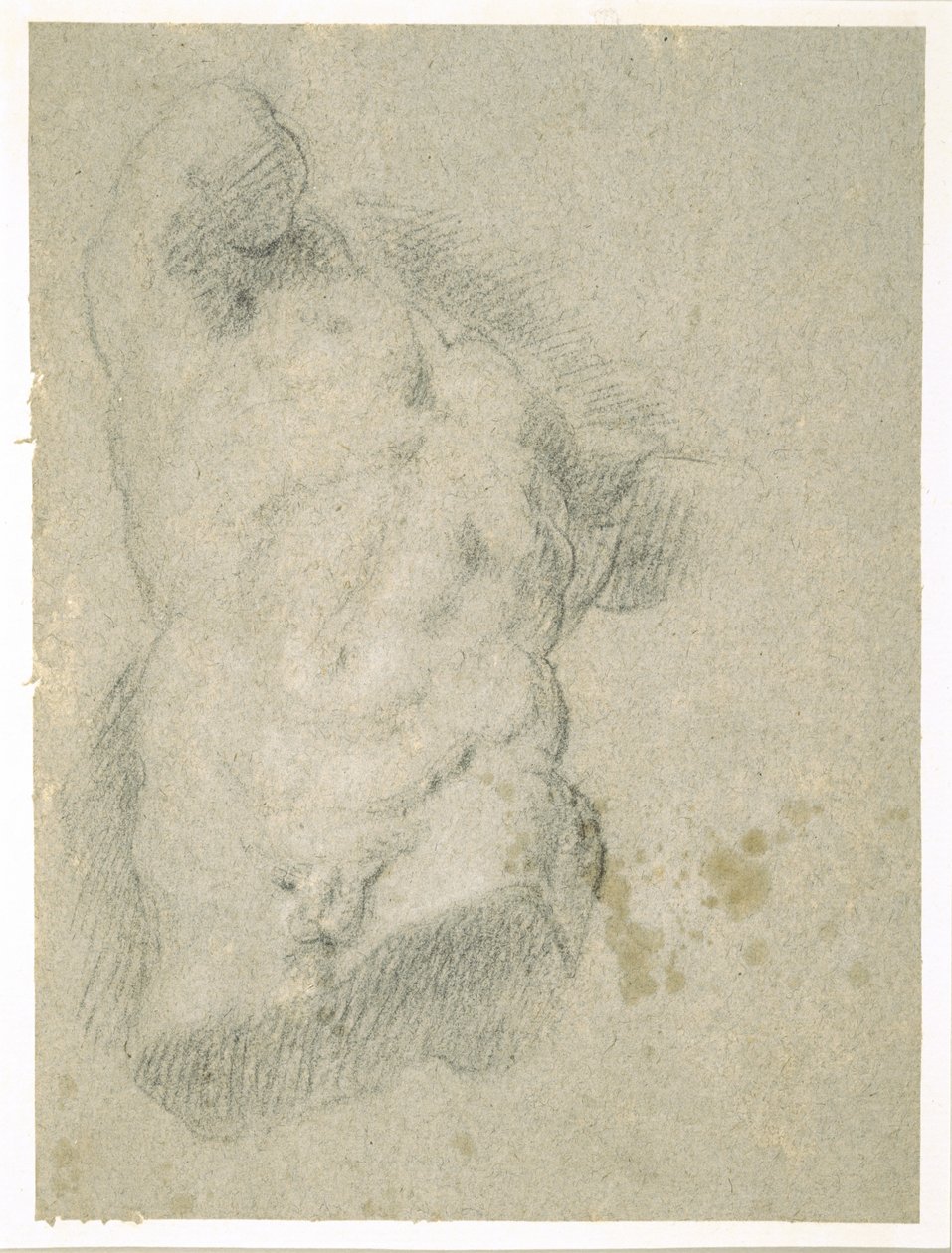 Zeichnung eines männlichen Torsos von Jacopo Bassano