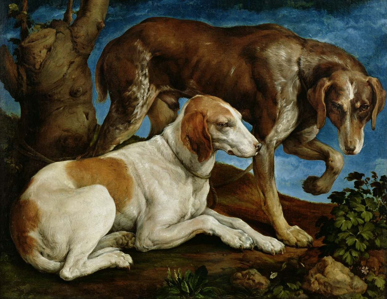 Zwei Jagdhunde an einen Baumstumpf gebunden, ca. 1548-50 von Jacopo Bassano