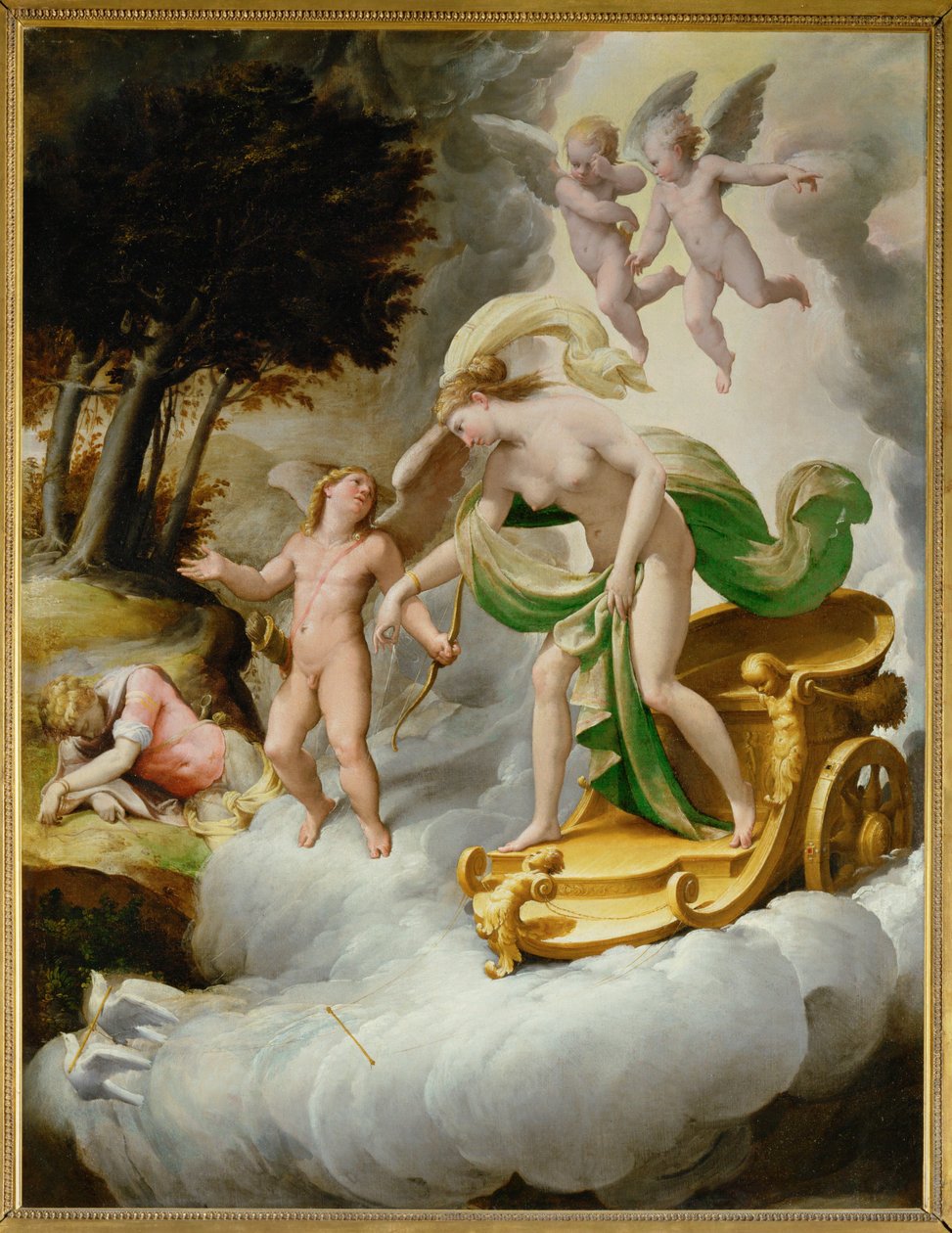 Venus von Amor zum toten Adonis geführt von Jacopo Ianguidi (1544 c.1573) Bertoia