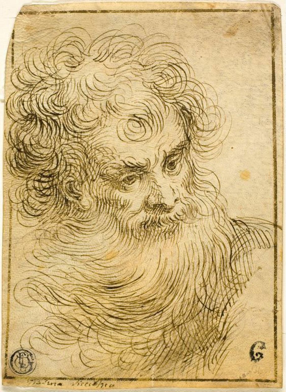 Kopf eines bärtigen alten Mannes (recto); Dekorative Skizze von Blume und Blättern (verso) von Jacopo Palma il Giovane