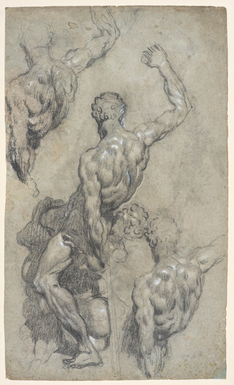 Studien zu Michelangelos "Samson und die Philister", ca. 1575-85 von Jacopo Robusti (workshop of) Tintoretto