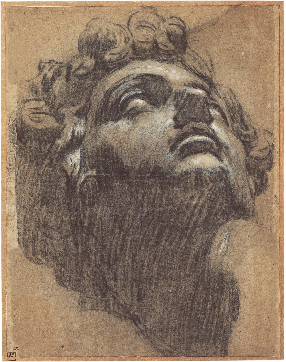 Kopf von Giuliano de Medici 1479-1516, 1540er von Jacopo Robusti Tintoretto