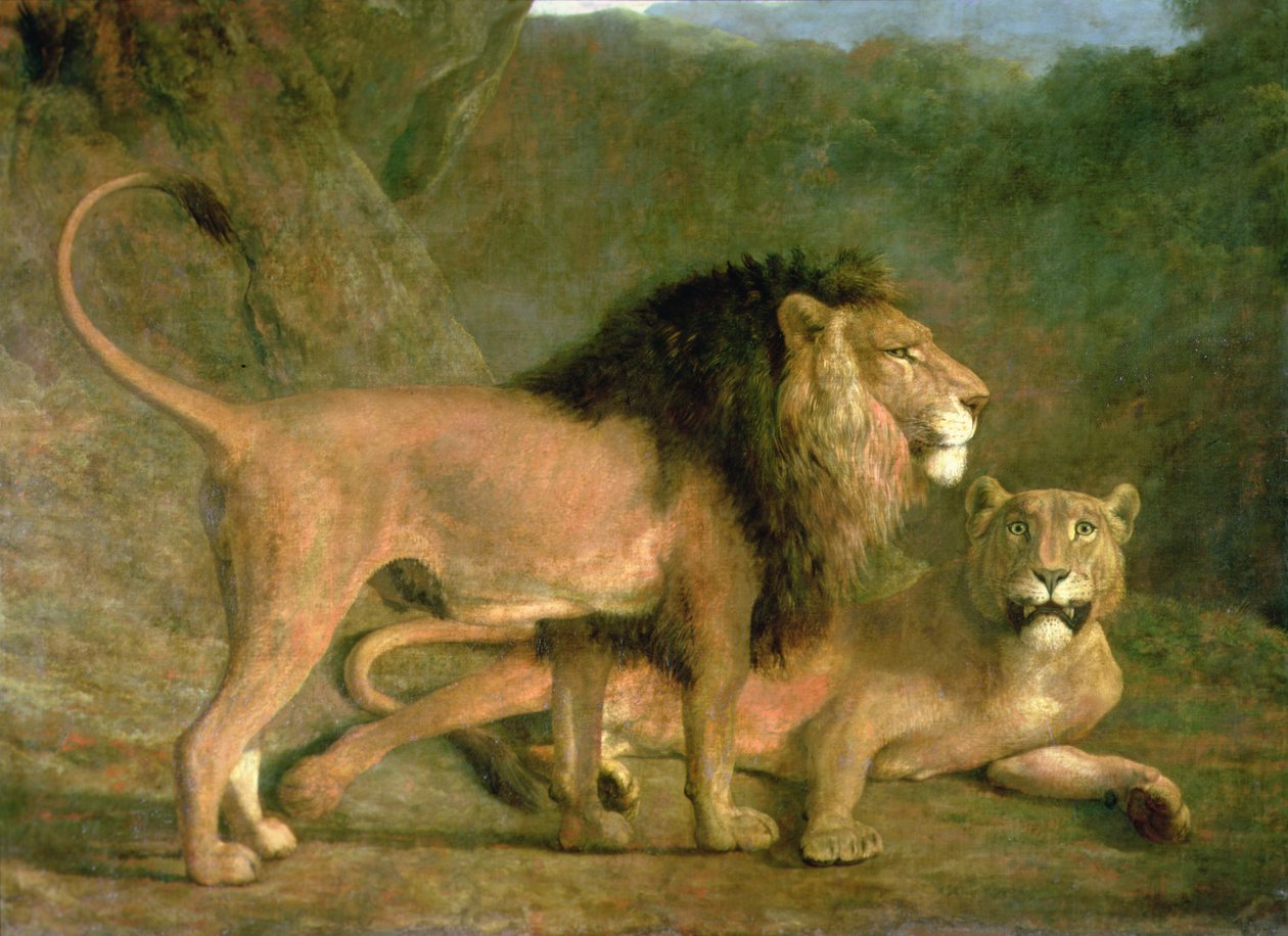 Ein Löwe und eine Löwin in einem felsigen Tal von Jacques Laurent Agasse