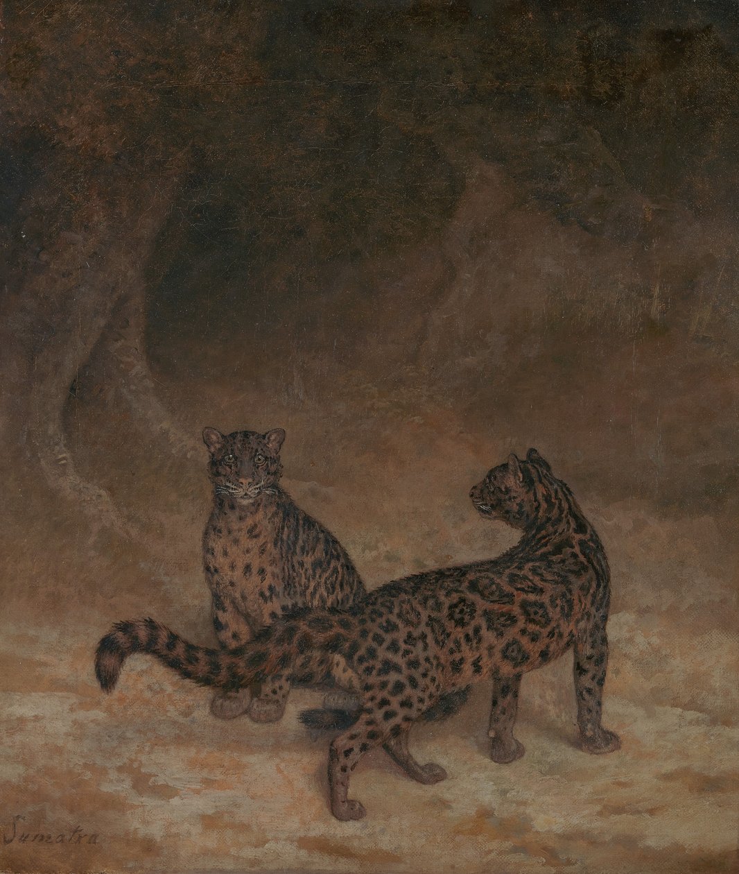 Nebelparder von Jacques-Laurent Agasse