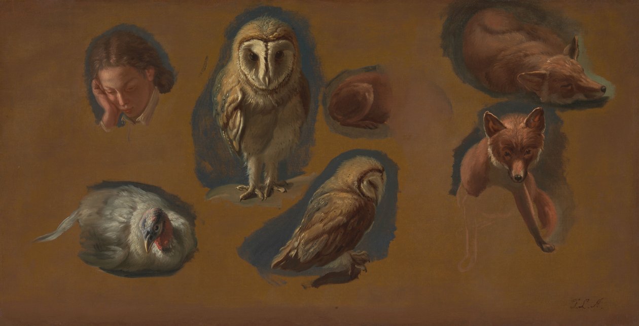 Studien eines Fuchses, einer Schleiereule, eines Pfauenweibchens und des Kopfes eines jungen Mannes von Jacques-Laurent Agasse