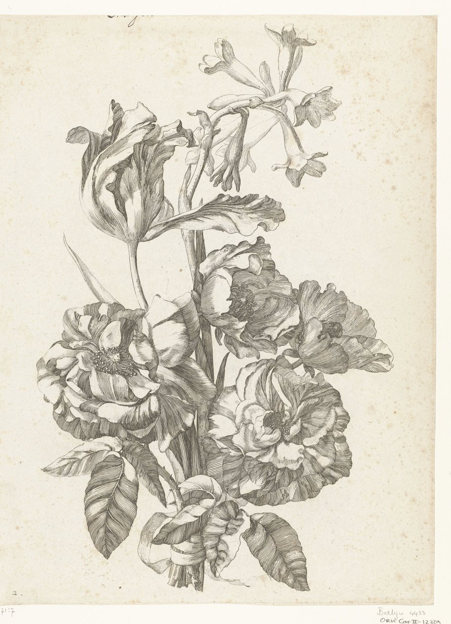 Blumenstrauß mit Pfingstrosen, einer Tulpe und einer Brodiaea von Jacques Bailly (I)