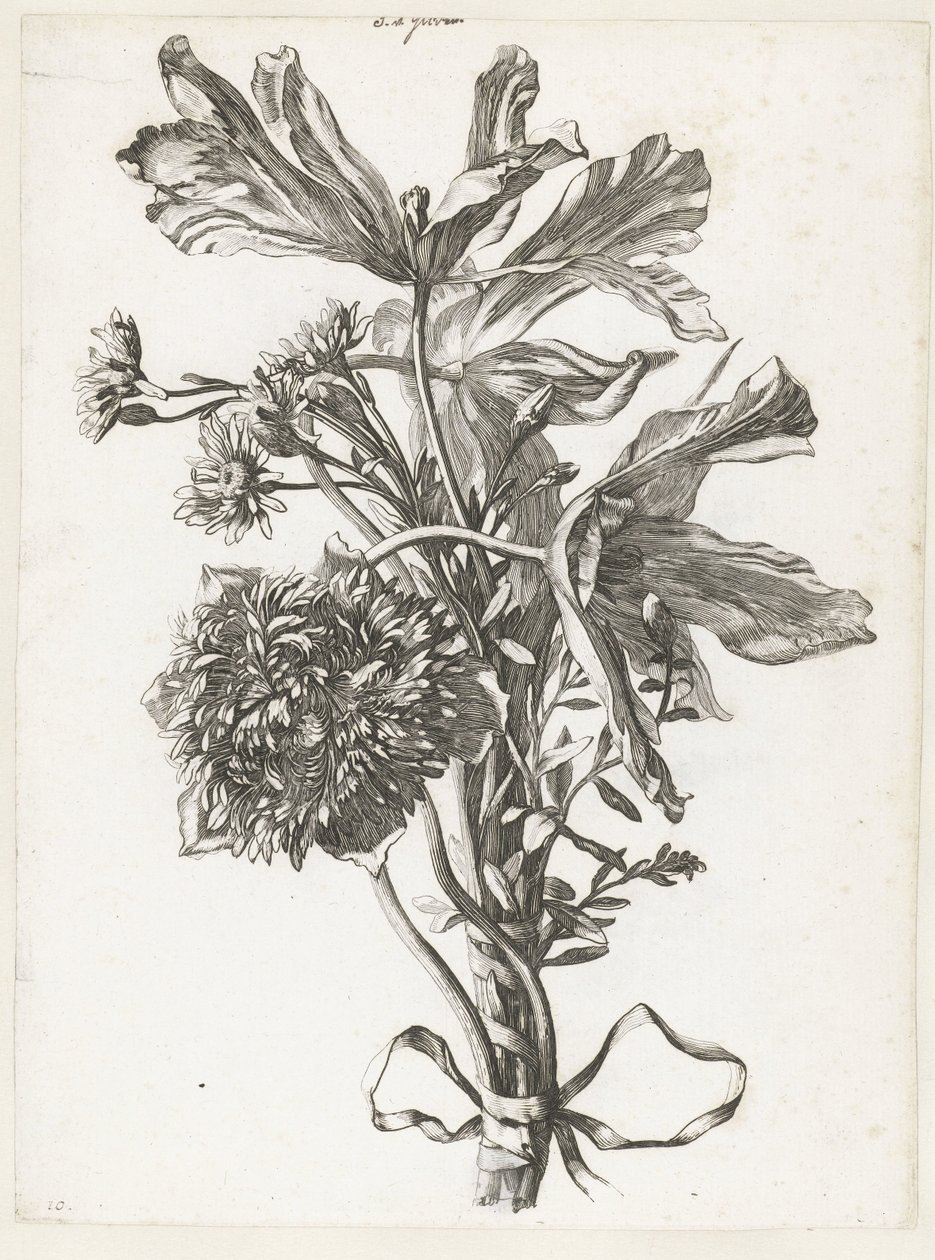 Blumenstrauß mit verblühten Tulpen, einer Anemone und Immortellen (Diverses Fleurs mises en Boucquets) von Jacques Bailly (I)