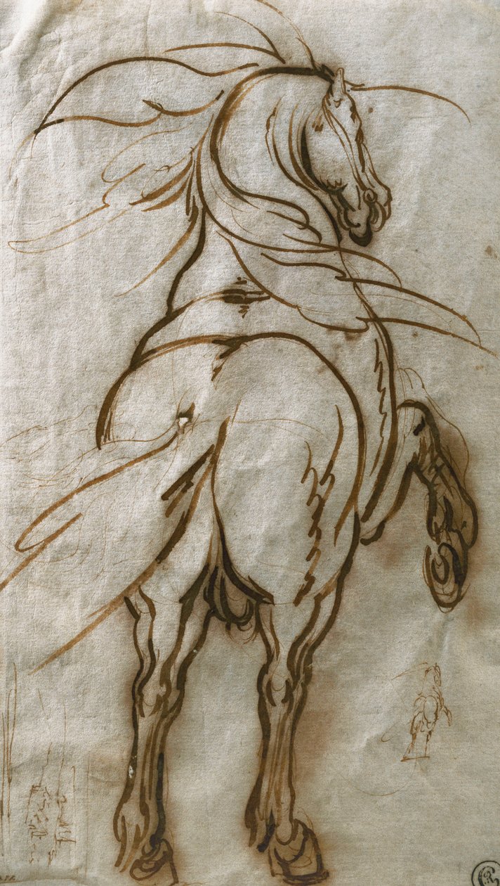 Studie eines sich aufbäumenden Pferdes, mit einer Nebenstudie desselben und einer Stadtansicht von Jacques Callot