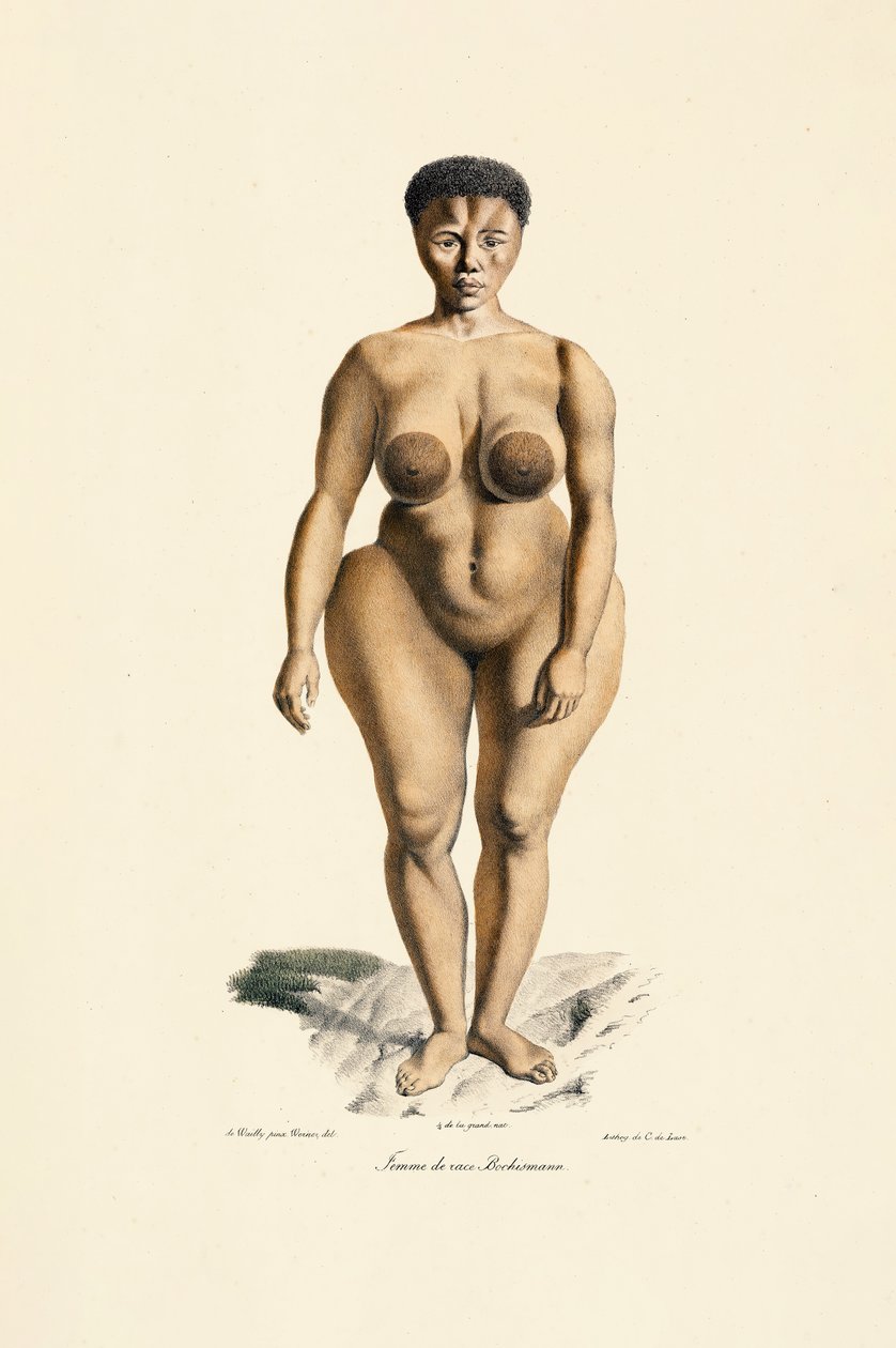 Frau der Boschman-Rasse Frontalansicht von Jacques Christophe Werner