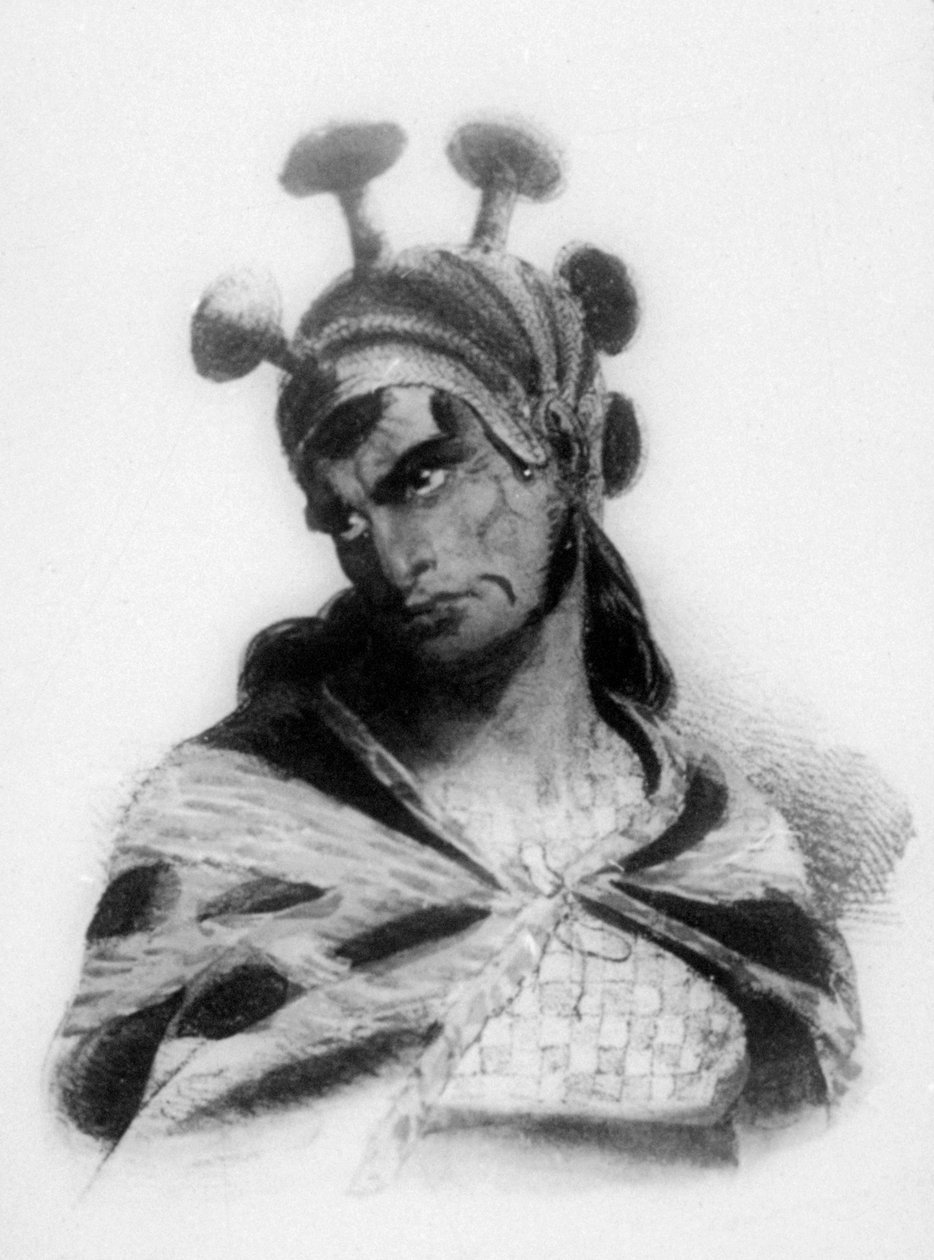Hawaiianischer Krieger mit einem Helm mit Pilzverzierter Kamm, 1819 von Jacques Etienne Victor Arago