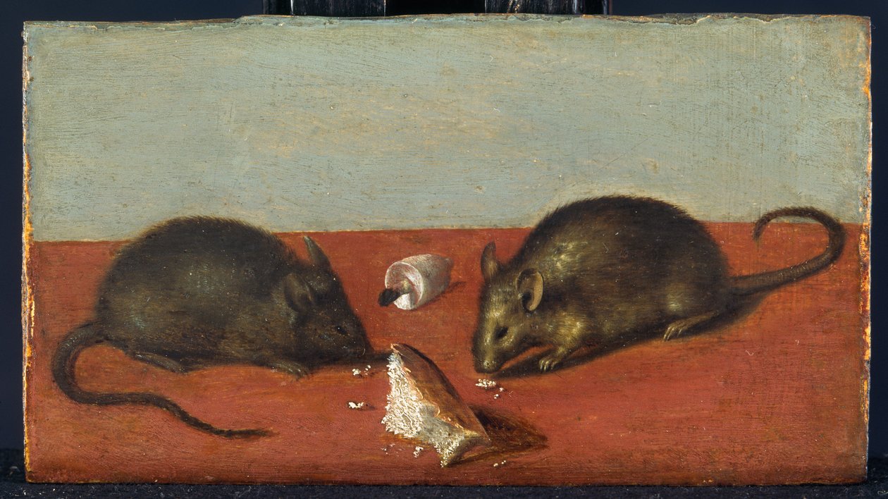 Mäuse, ca. 1600 von Jacques II de Gheyn