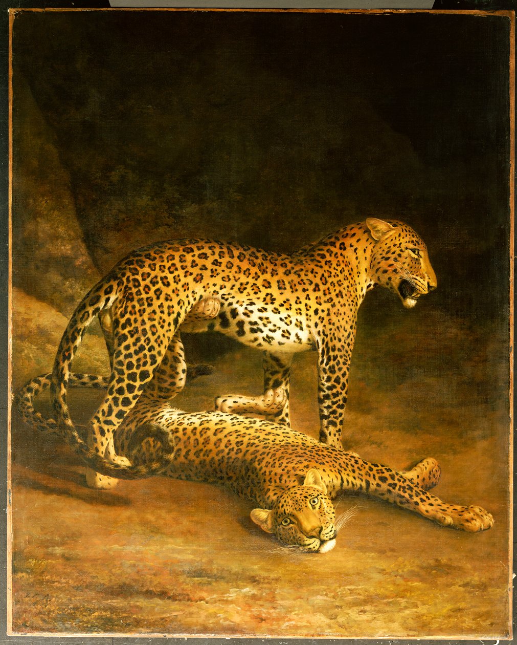 Zwei Leoparden im Exeter Exchange, 1808 von Jacques Laurent Agasse