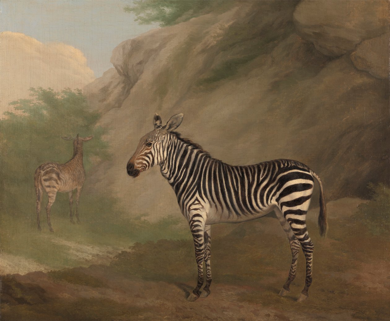 Zebra von Jacques Laurent Agasse