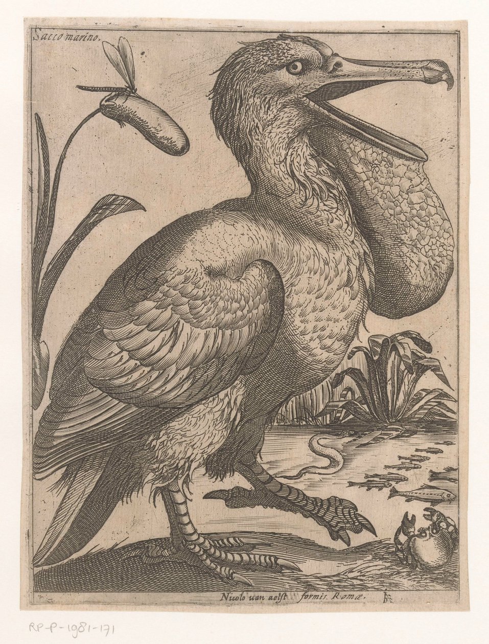 Wasservogel von Jacques de Fornazeris
