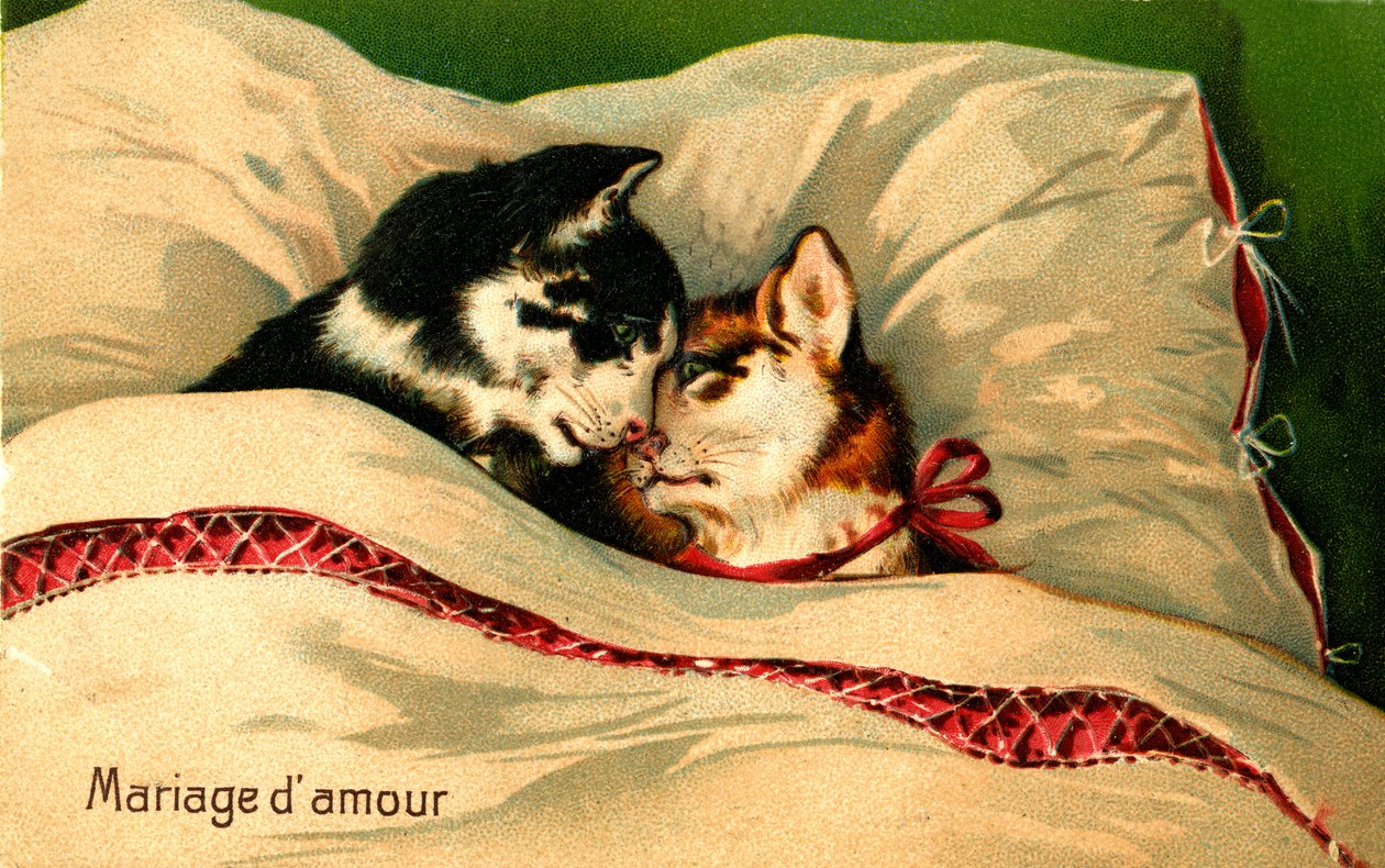 Eine Hochzeit voller Liebe von Jaime Abecasis