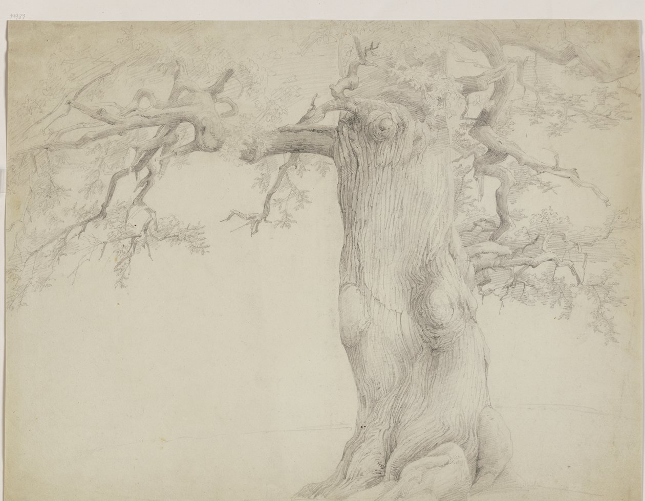Alter Baum von Jakob Becker