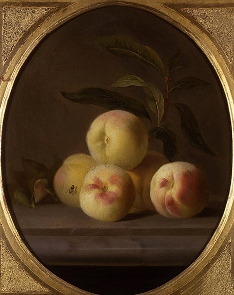 Stillleben mit Obst und einer Fliege von Jakob Bogdani or Bogdany