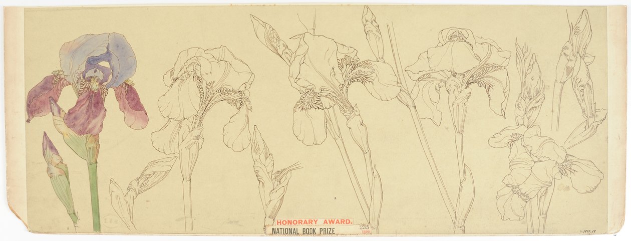 Botanische Studien von James Atherton