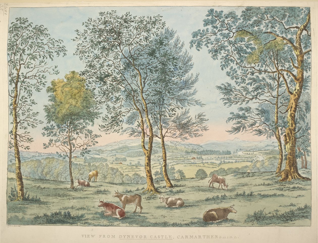 Blick vom Dynevor Castle, Carmarthen von James Bretherton