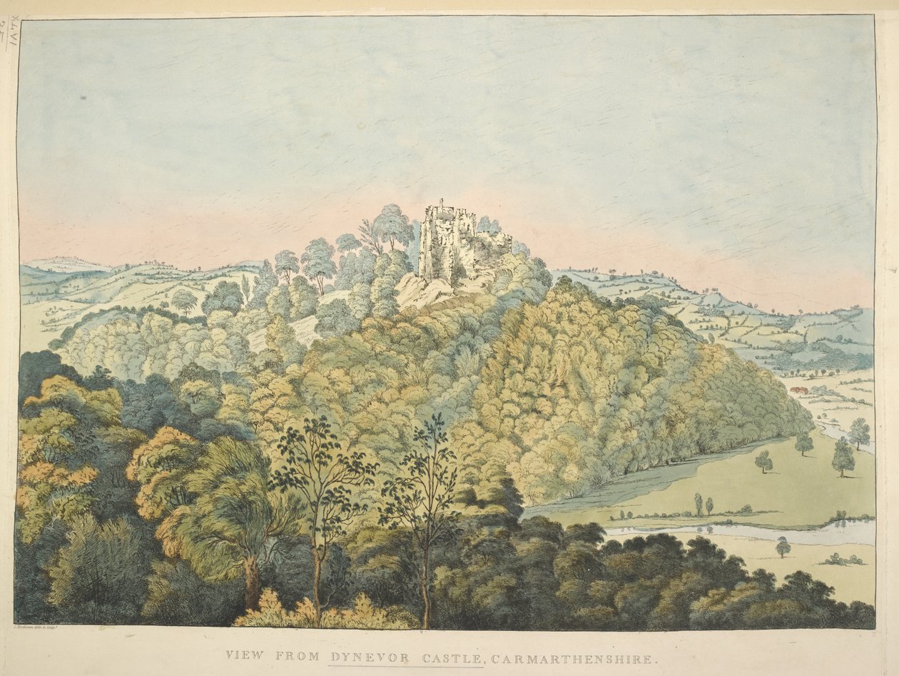 Ansicht von Dynevor Castle, mit Blick auf den Fluss Towy und Golden Grove von James Bretherton