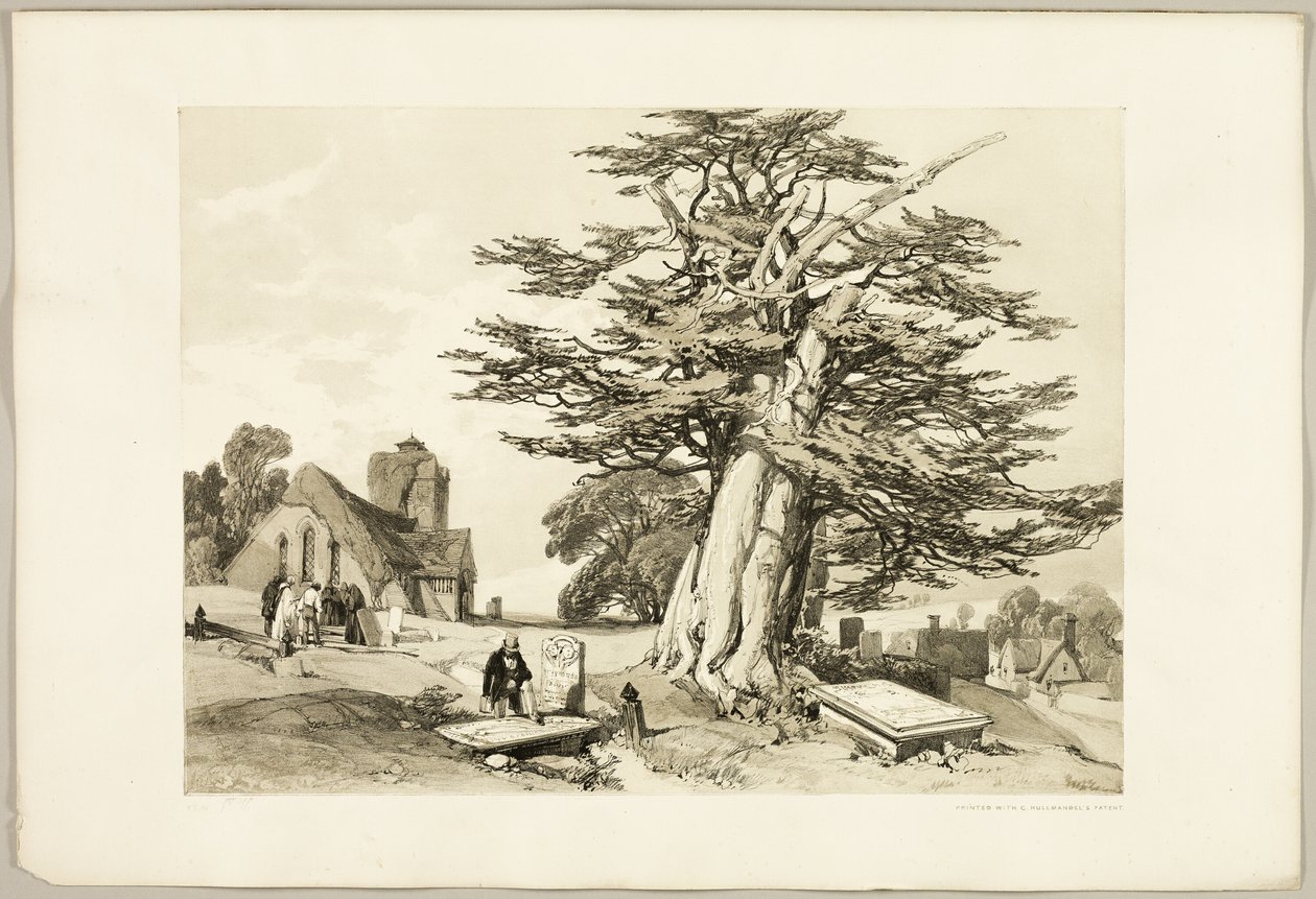 Eibe, aus Der Park und der Wald von James Duffield Harding