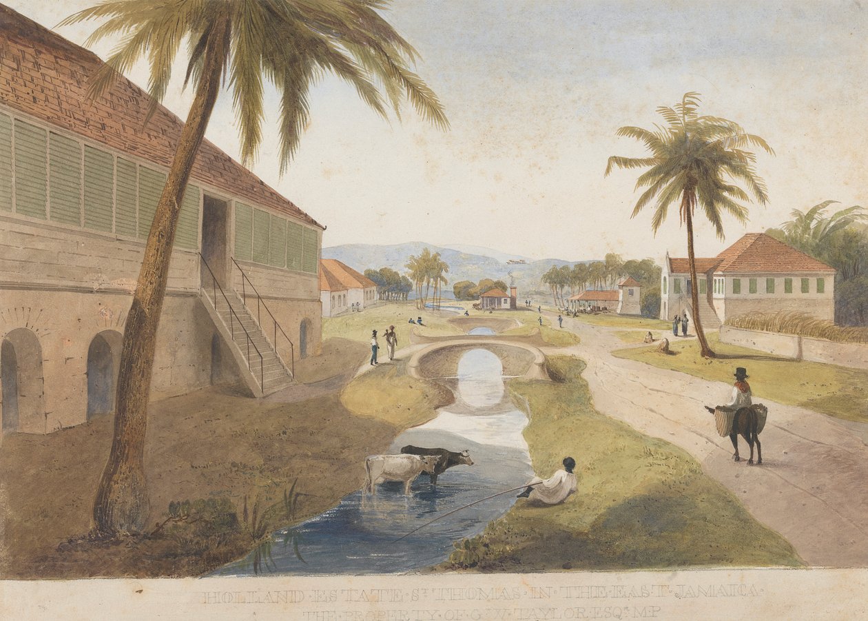 Holland Estate, St. Thomas im Osten, Jamaika [Eines von] von James Hakewill