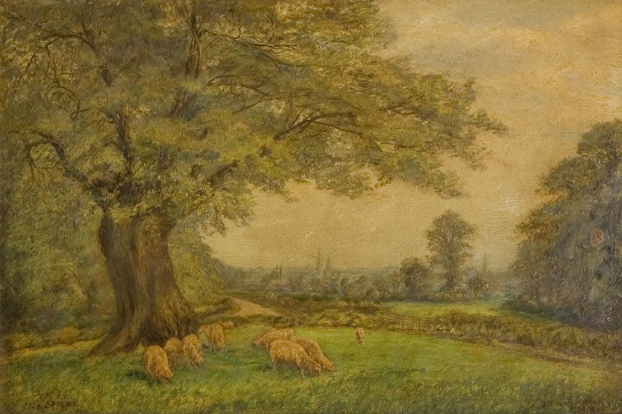 Die Türme von Coventry aus der Ferne von James Henry Bambrick