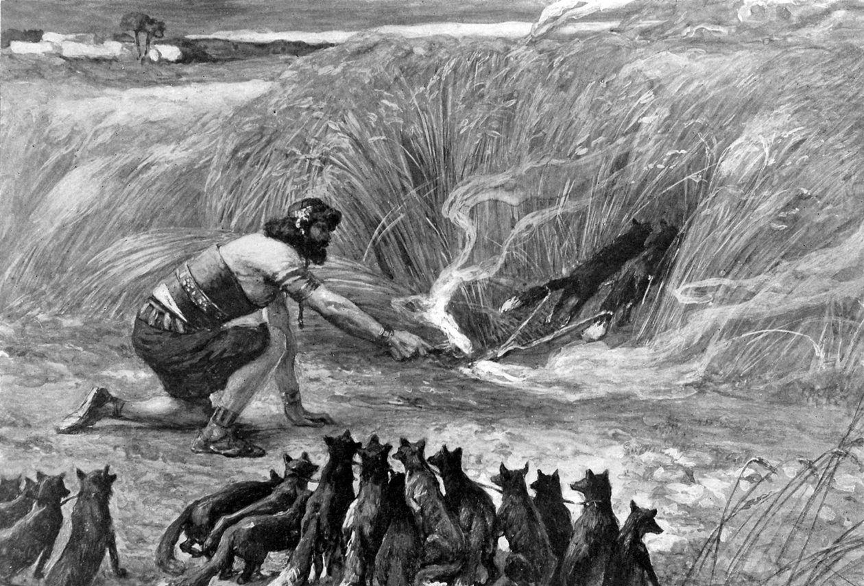 Simson und die Füchse von J. James Tissot - Bibel von James Jacques Joseph (after) Tissot