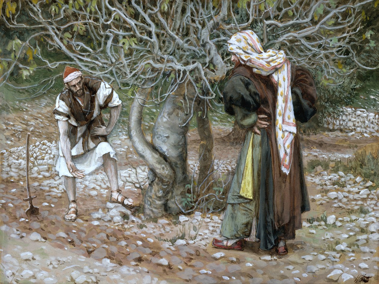 Der unfruchtbare Feigenbaum, Illustration für Das Leben Christi von James Jacques Joseph Tissot