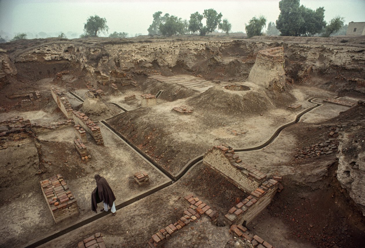 Übersicht über eine Grube, die mit den Überresten von Ziegelmauern und einem Ziegelbrunnen gefüllt ist. HARAPPA E... von James L Stanfield
