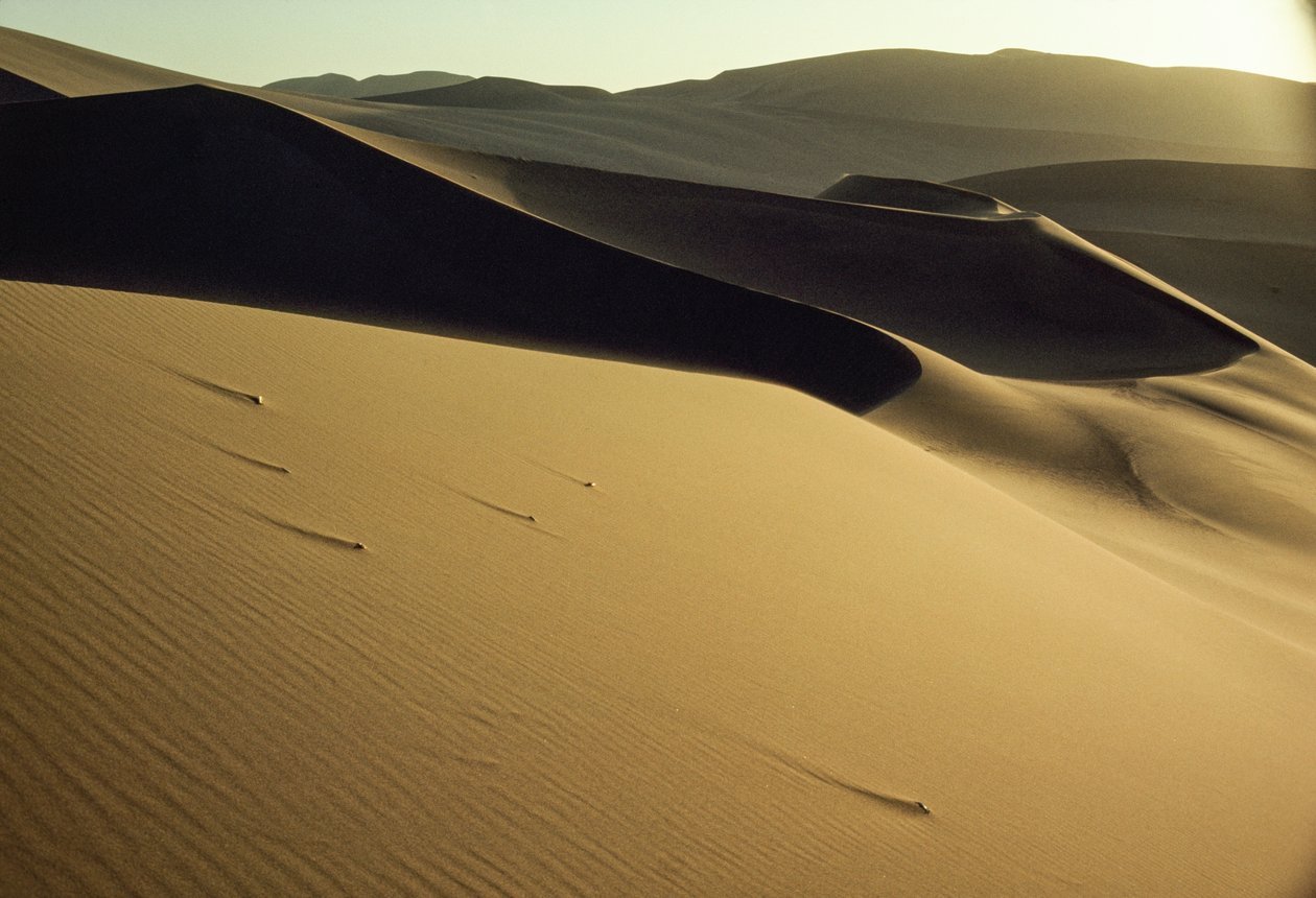 Ansicht von scharf geschnittenen, beschatteten Dünen nahe Dunhuang. Provinz Gansu, Volksrepublik China von James L Stanfield
