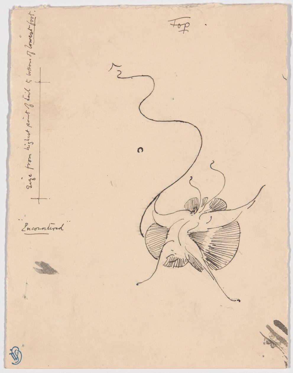 Schmetterling (recto); Skizze für Schlussvignette (verso) von James McNeill Whistler
