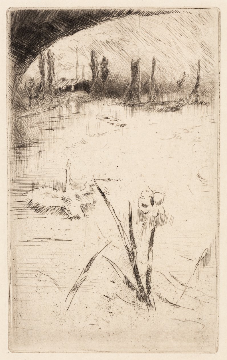 Skizze nach Cecil Lawsons "Schwan und Iris" von James McNeill Whistler