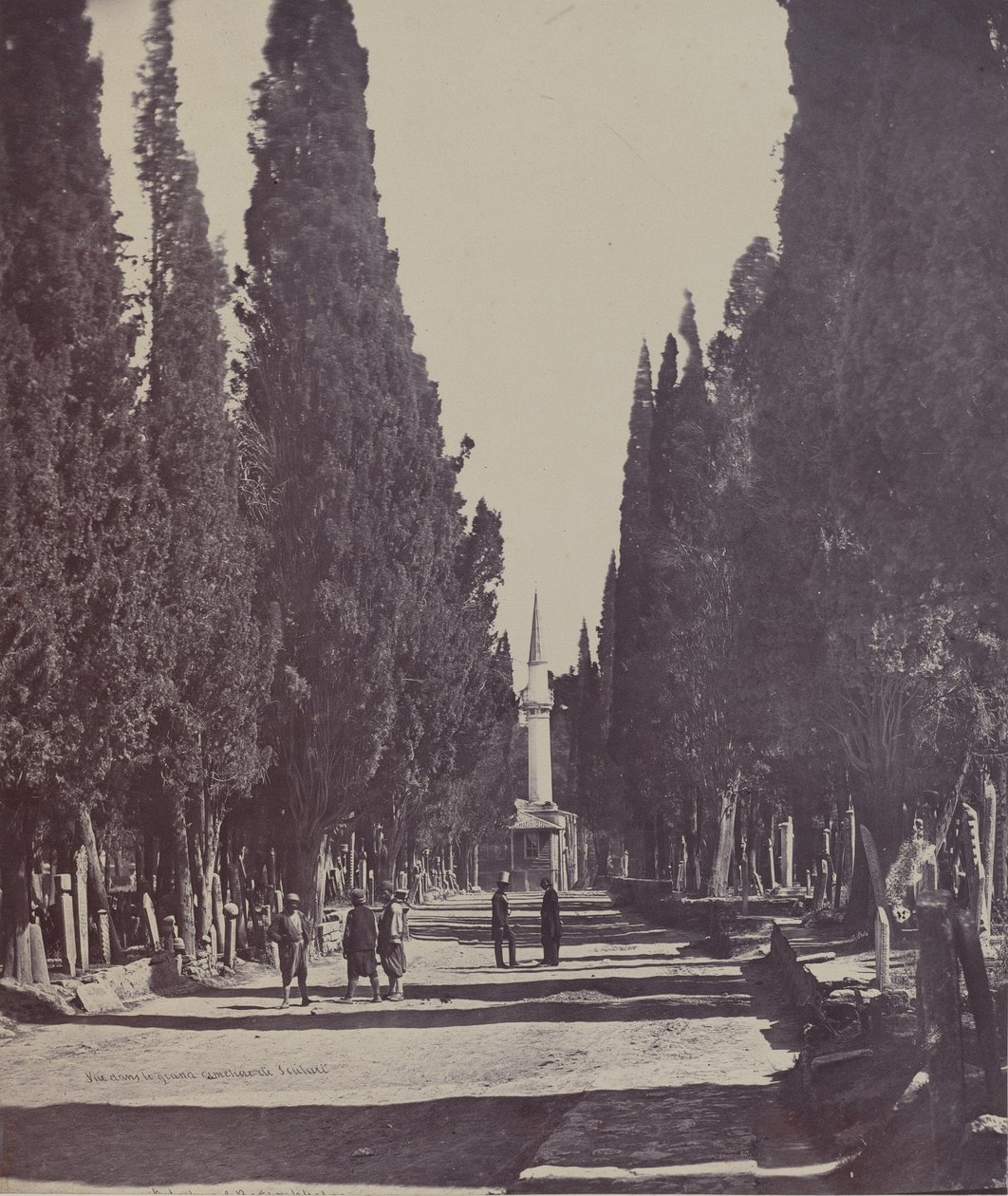Szene auf dem großen Friedhof von Scutari von James Robertson