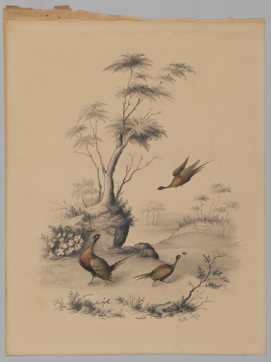 Drei Fasane, 1873 von James Ryder van Brunt