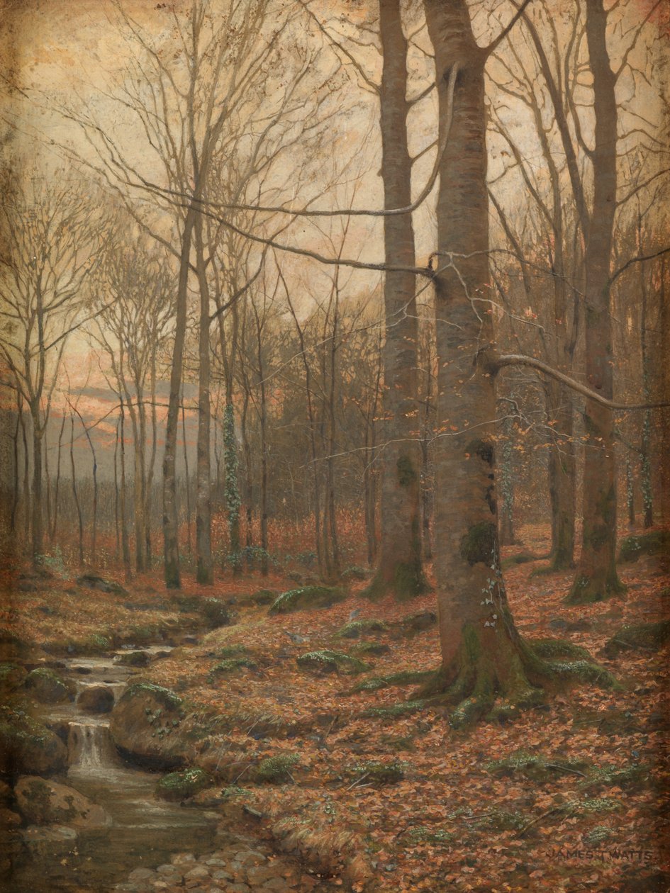Winter im Wald, Betws-y-Coed von James Thomas Watts