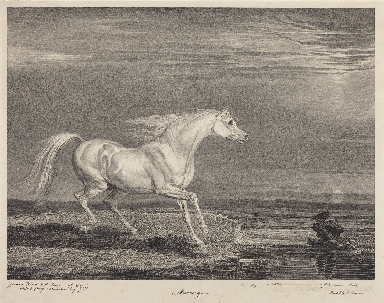 Marengo von James Ward