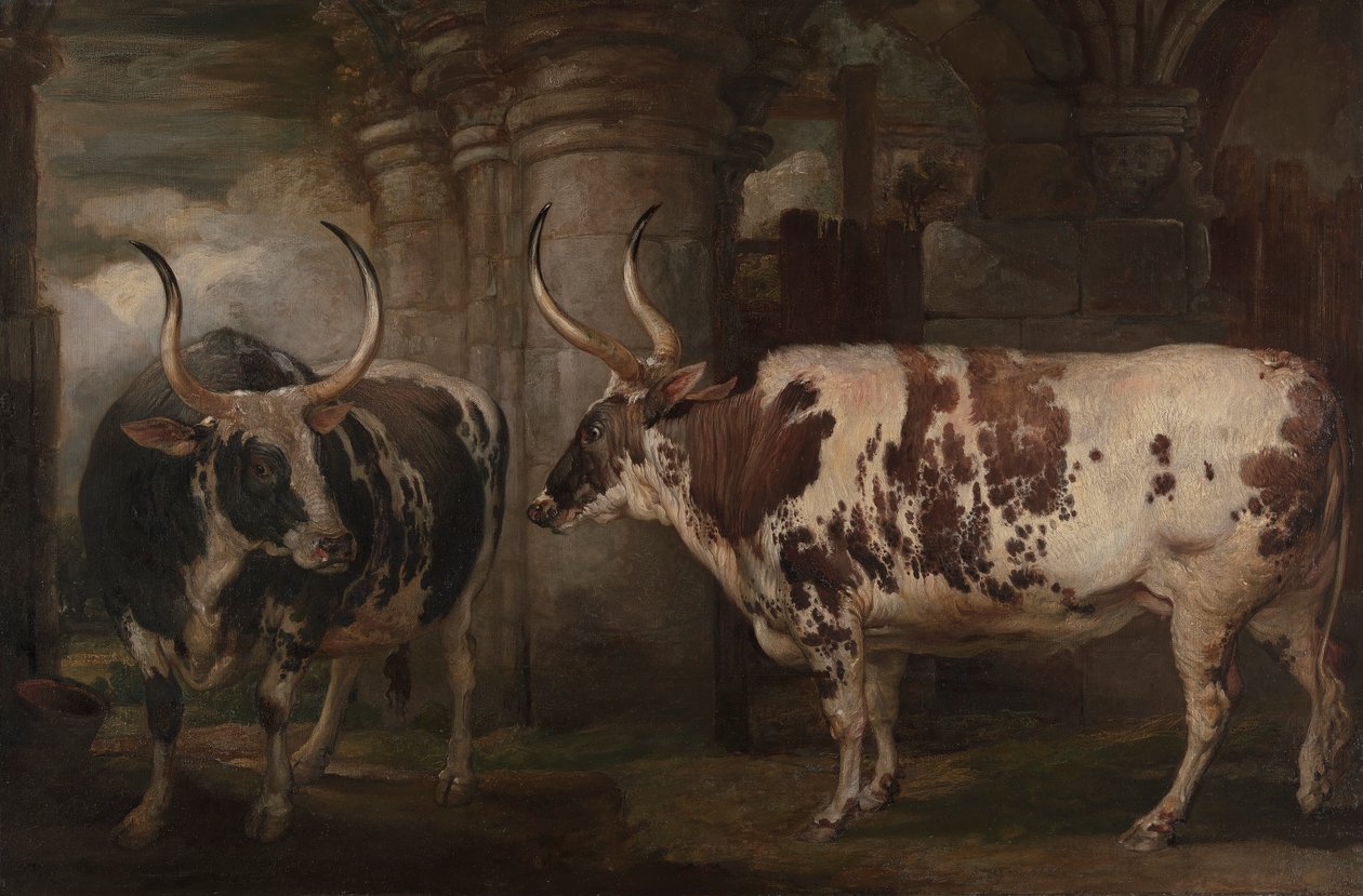 Porträts von zwei außergewöhnlichen Ochsen, Eigentum des Earl of Powis von James Ward