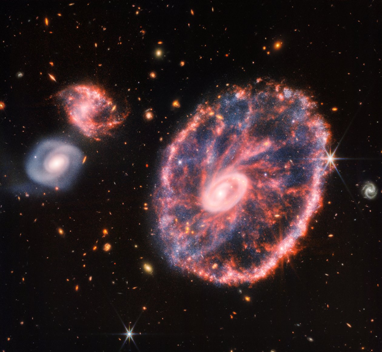 Cartwheel-Galaxie (NIRCam und MIRI Kompositbild) von James Webb Space Telescope (NASA)