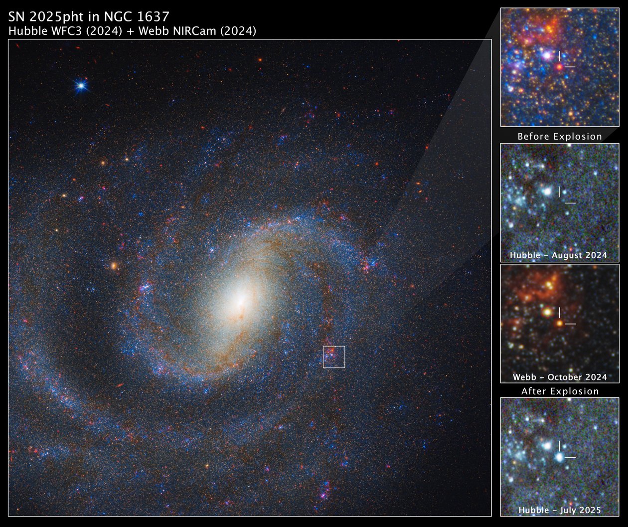 SN 2025pht in NGC 1637 von James Webb Space Telescope (NASA)