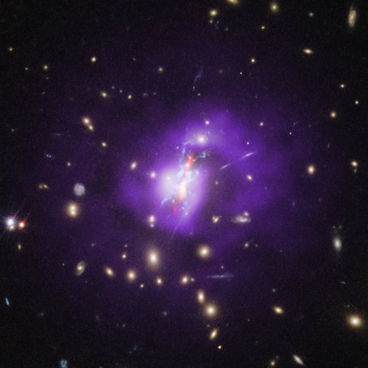 Webb kartiert das vollständige Bild, wie der Phoenix-Galaxienhaufen Sterne bildet von James Webb Space Telescope (NASA)