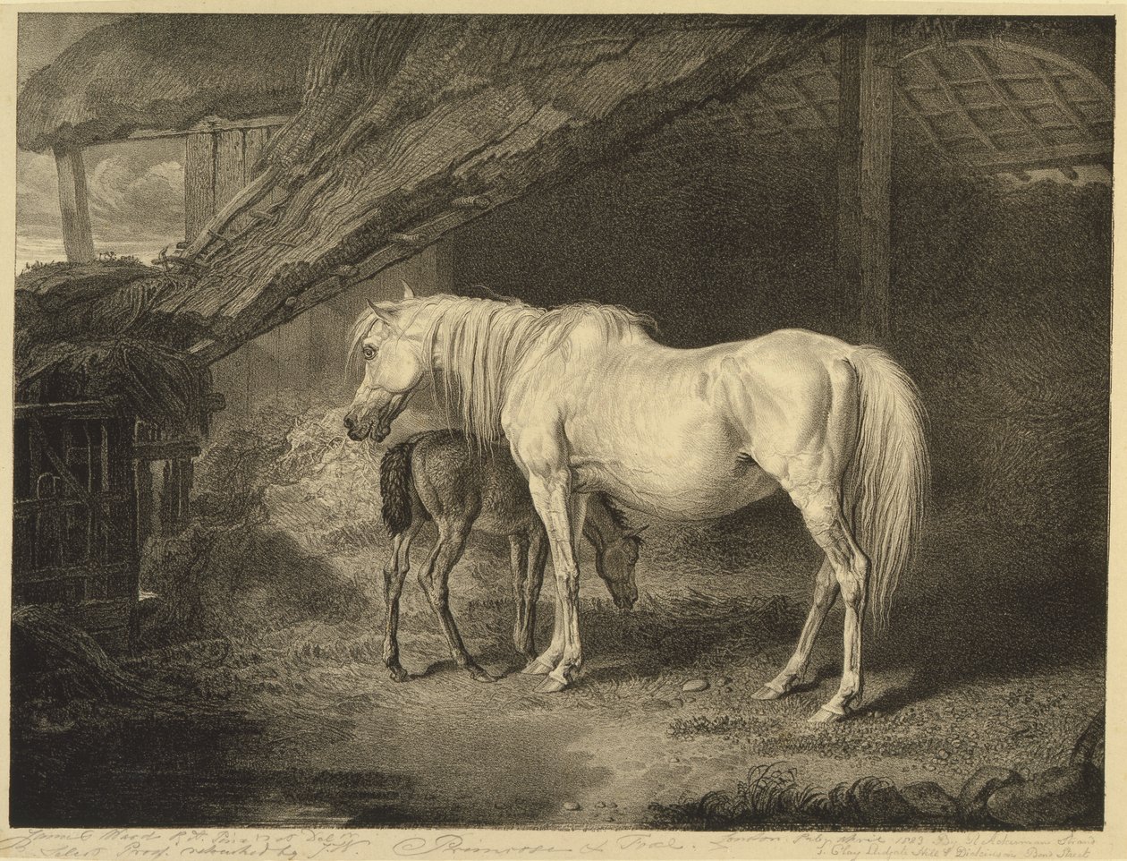 Primel und Fohlen, aus Berühmte Pferde, eine Serie von vierzehn Rennbildern, veröffentlicht vom Künstler, 1823-24 von James after Ward
