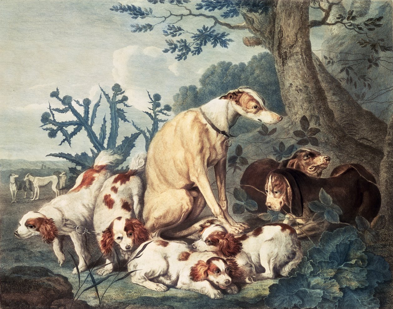 Porträts von Hunden, graviert von Daniel Lerpiniere, veröffentlicht von John und Josiah Boydell, 1799 von Jan Fyt
