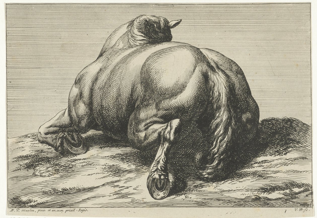 Ein auf dem Bauch liegendes Pferd von hinten gesehen von Jan van Huchtenburgh
