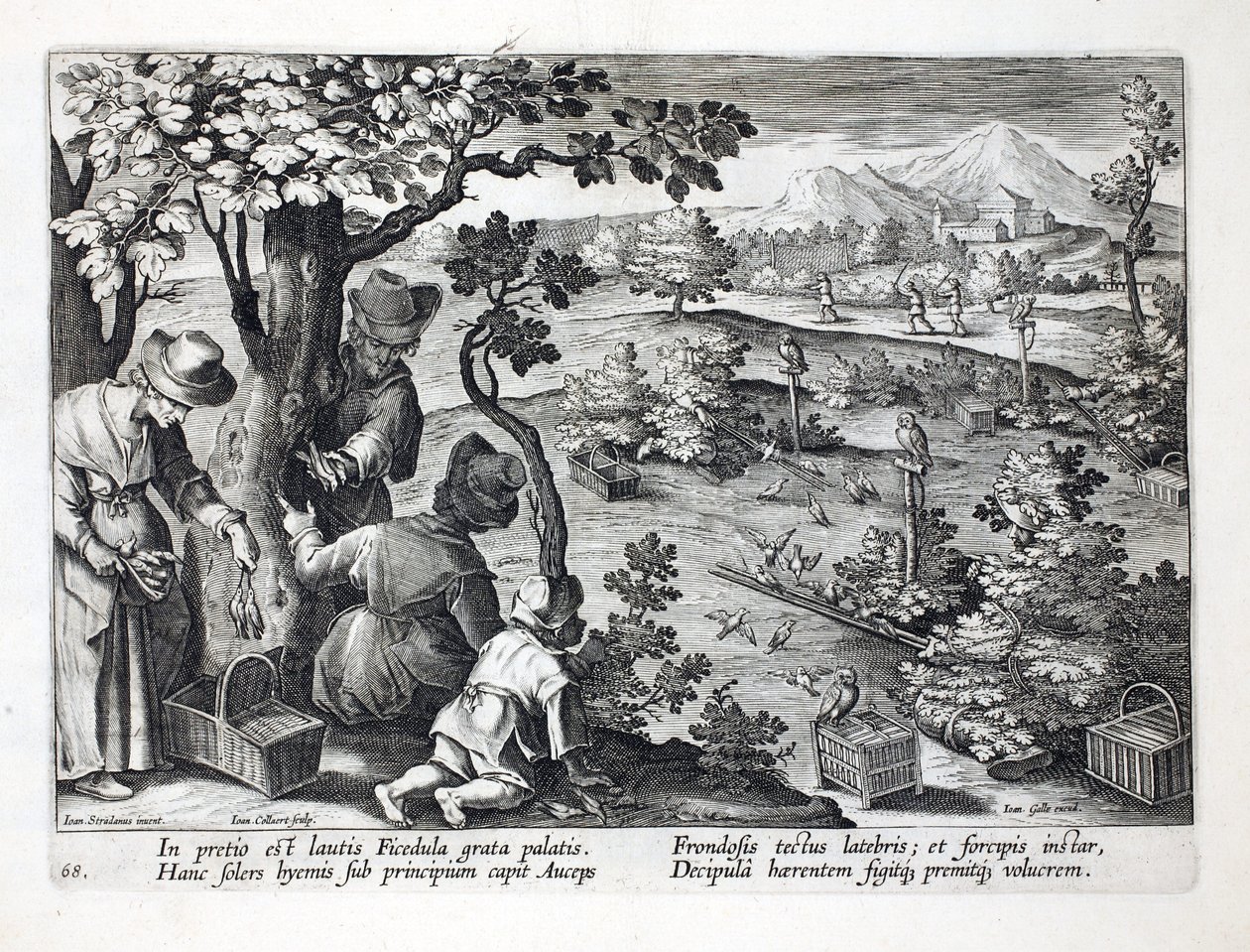 Vogelfänger, die Eulen und Verkleidungen verwenden, um Feigenpicker zu fangen, Illustration aus 