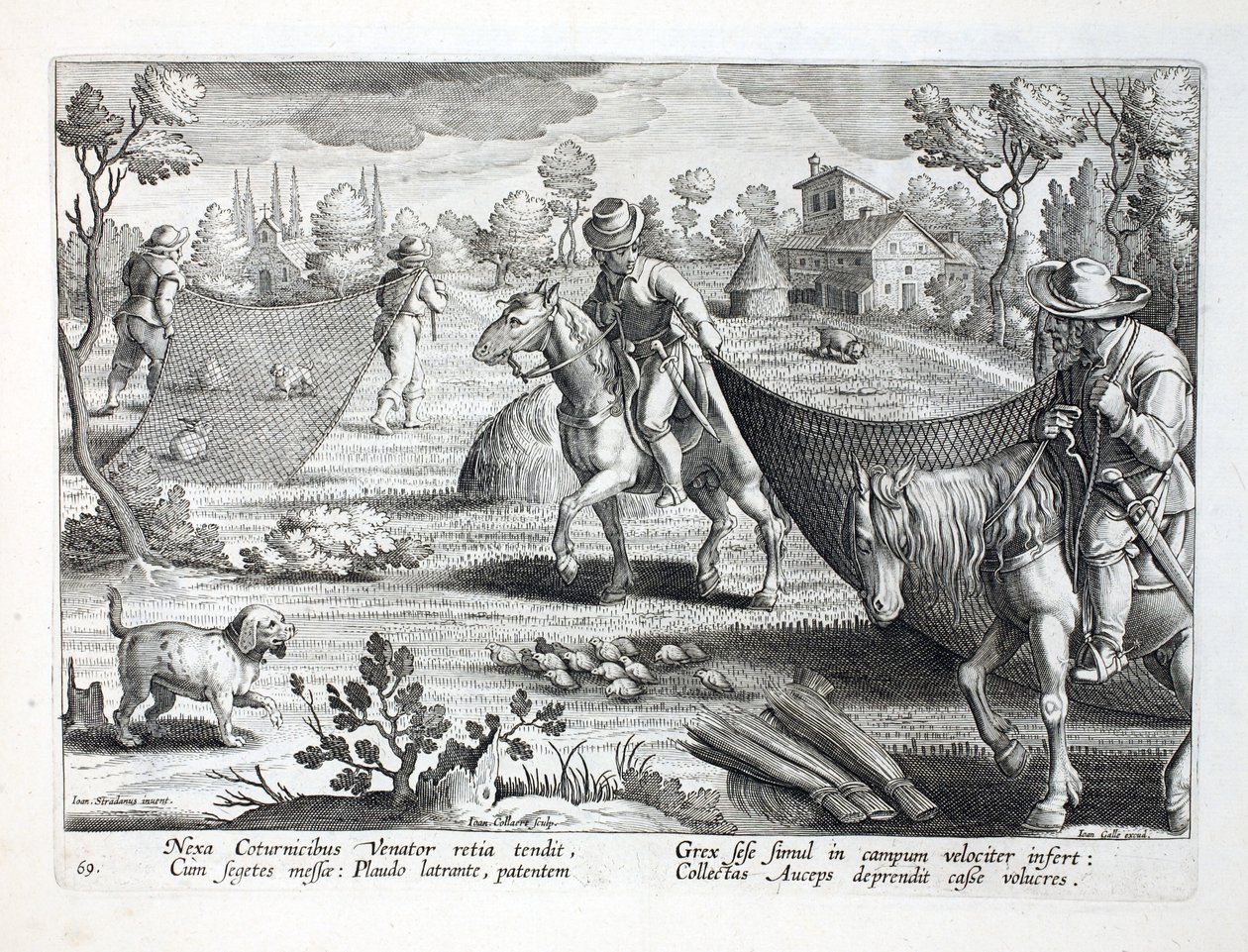 Wachtelfang, Illustration aus 